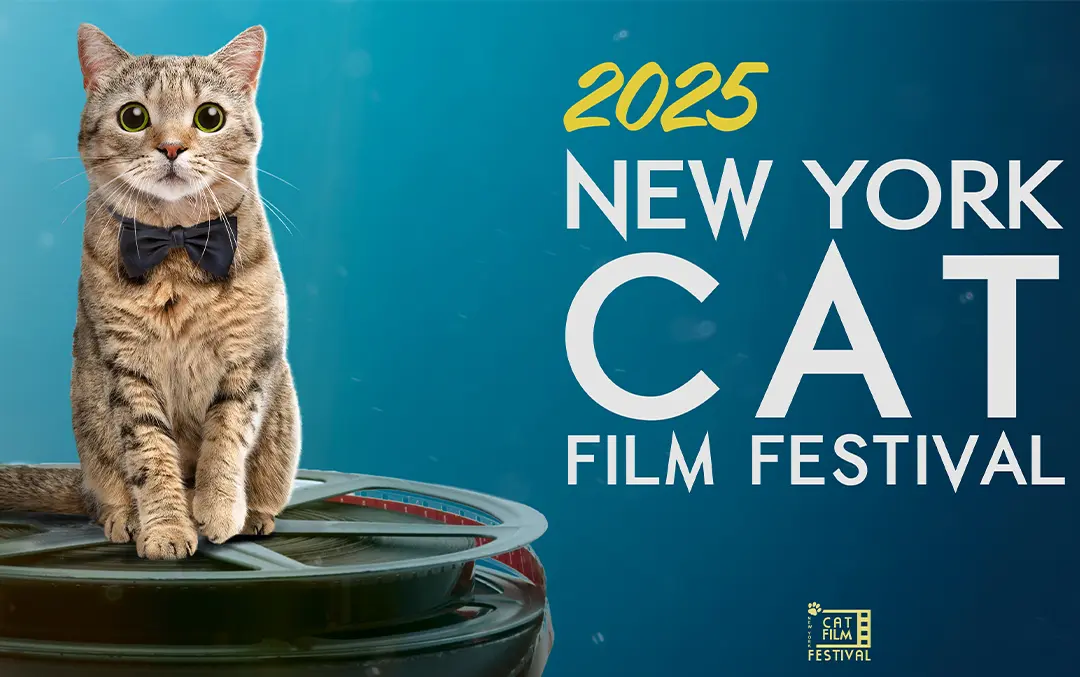 New York Cat Film Festival