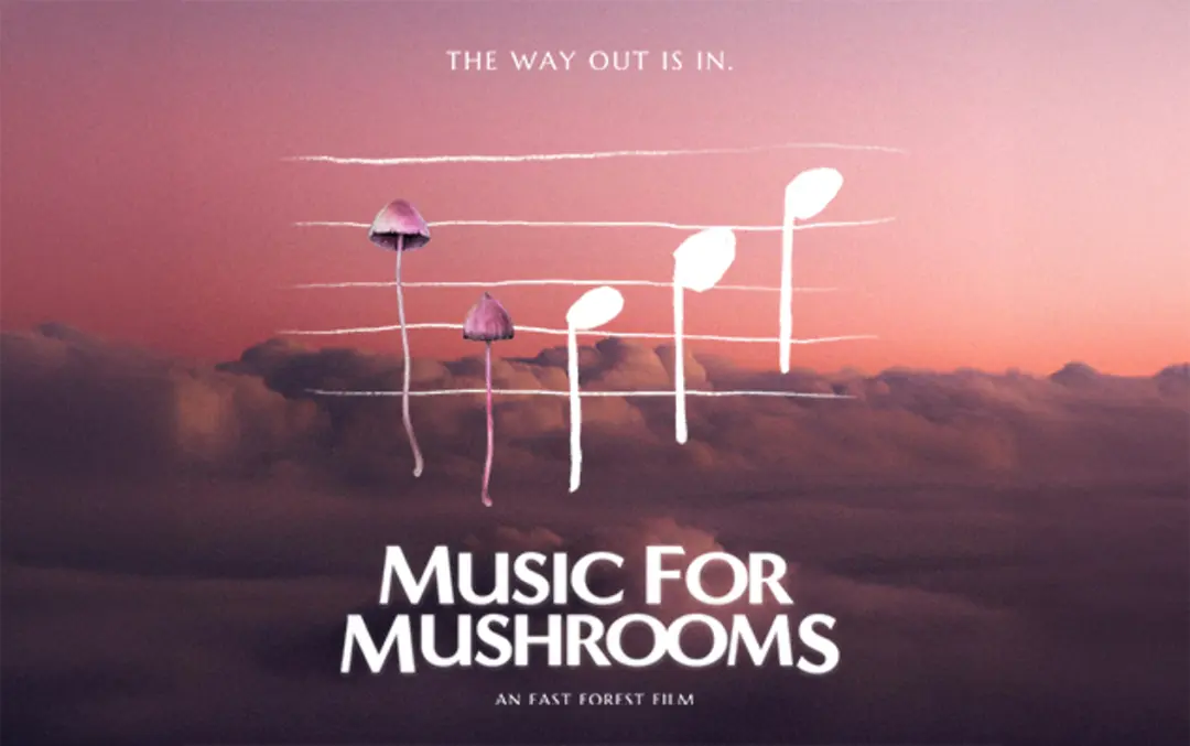 Music For Mushrooms